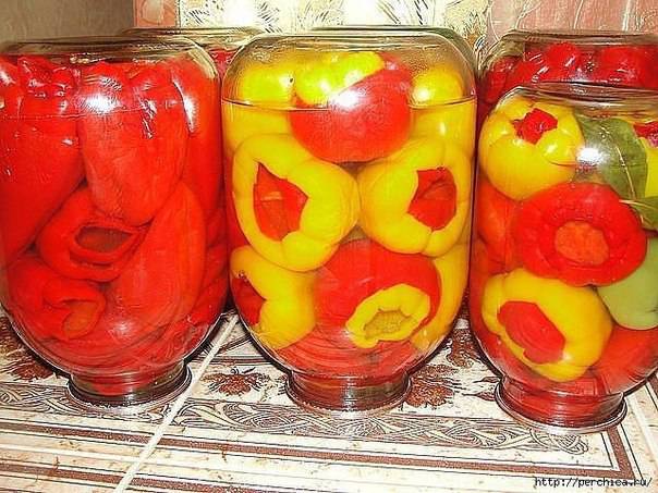 bolgadskiy perec 1-2