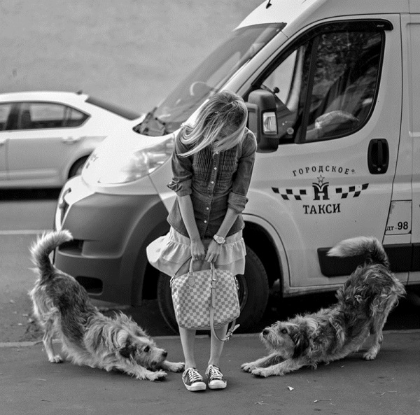 ne ostavlaite zivotnih