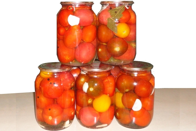 senori pomidori zapasa