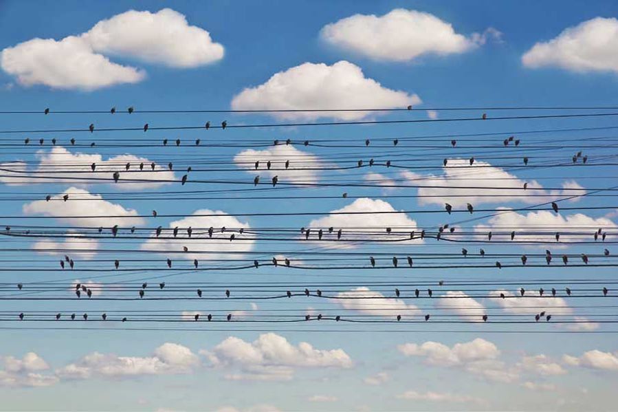 slova nepodkreplenie