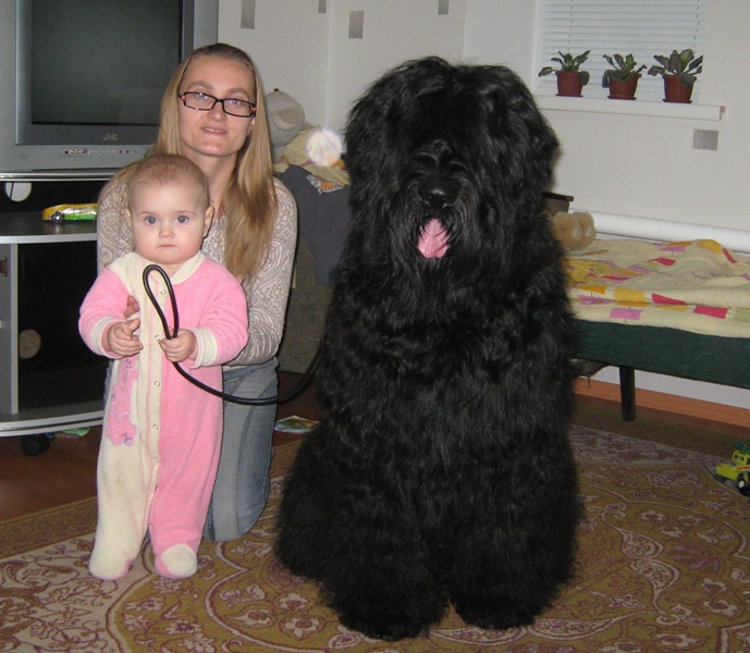 volosatiy vospitatelj