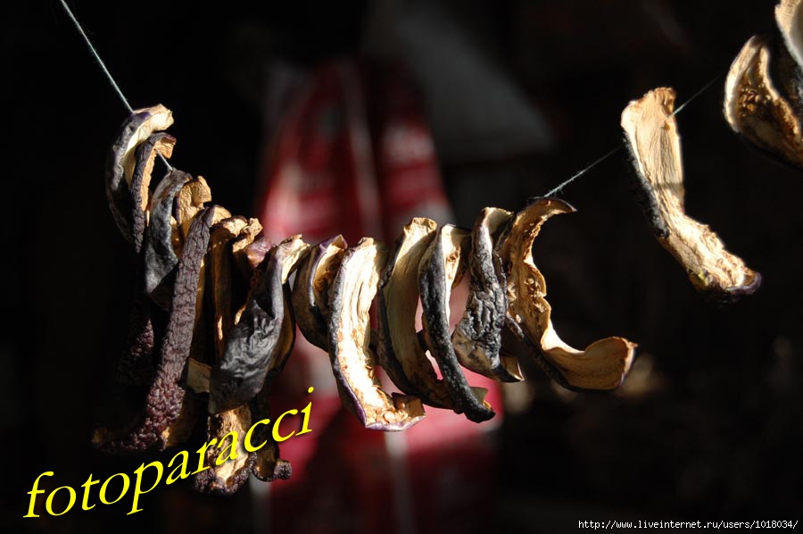 zagotovka baklazanov1